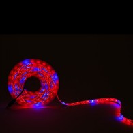 Striscia LED per coltivazione 72W 4.