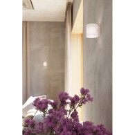 Luce A Muro "Vici"