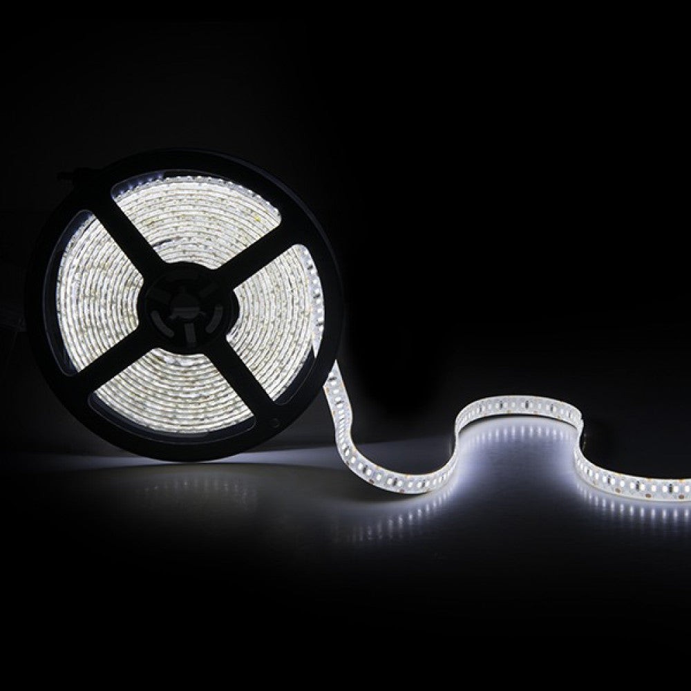 Striscia da 204 LED/M 60W 4700Lm CRI85 2700ºK SMD3014 12VDC Striscia da 204 LED/M 60W 4700Lm CRI85 2700ºK SMD3014 12VDC