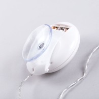 Decorazione natalizia a LED per interni