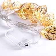Ghirlanda LED da interno 2M