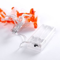 Ghirlanda LED da interno 1M