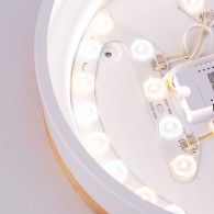 Plafoniera LED 24W 2493Lm Telecomando (Intensità-CCT) 10.