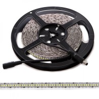 Striscia da 240 LED 72W 3760Lm CRI85 2700ºK SMD3528 12VDC IP20