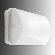 Illuminazione Emergenza LED 100Lm 1 Ora IP44 3,6V 0,8Ah