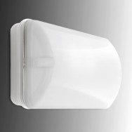 Illuminazione Emergenza LED 100Lm 1 Ora IP44 3,6V 0,8Ah
