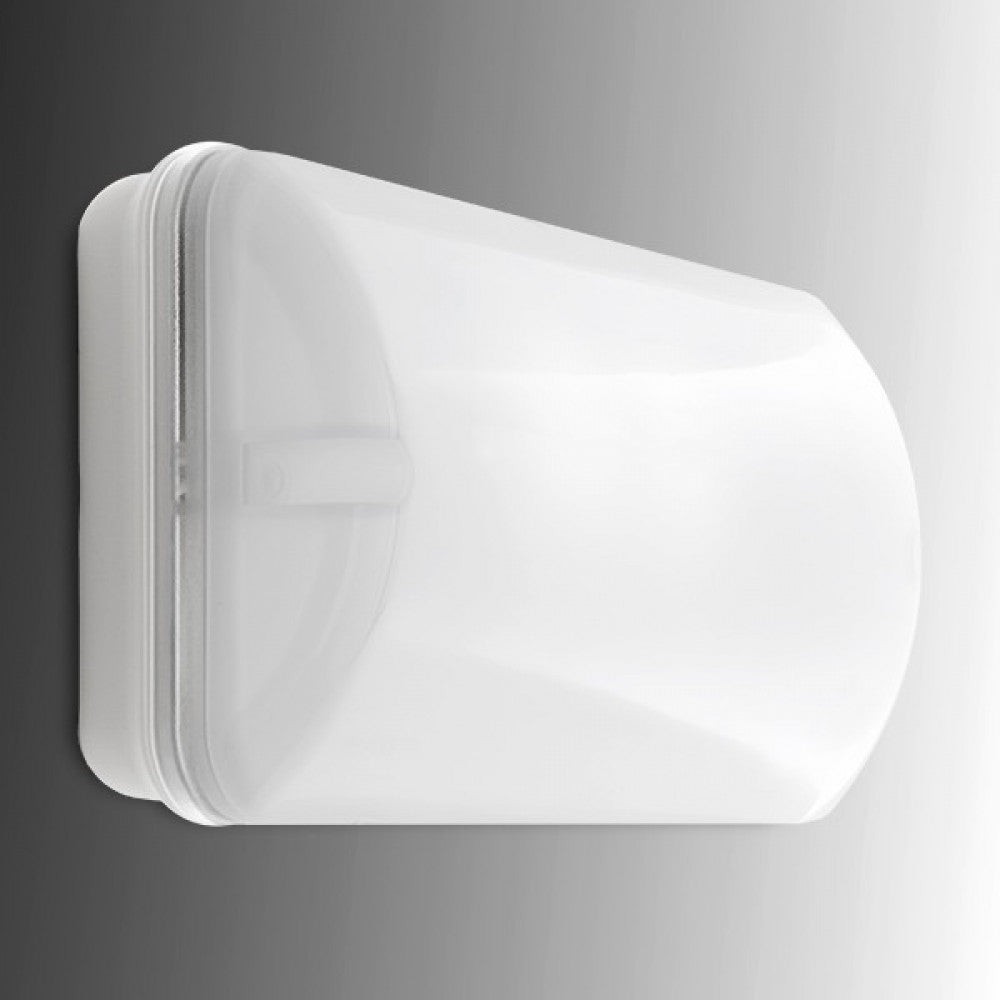 Illuminazione Emergenza LED 100Lm 1 Ora IP44 3,6V 0,8Ah Illuminazione Emergenza LED 100Lm 1 Ora IP44 3,6V 0,8Ah