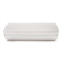 Illuminazione Emergenza LED 100Lm 1 Ora IP44 3,6V 0,8Ah