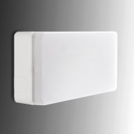 Esera Illuminazione di Emergenza LED 200Lm 1 Ora IP44