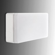 Esera Illuminazione di Emergenza LED 200Lm 1 Ora IP44