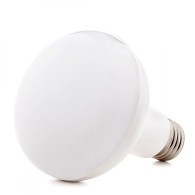 Lampadina LED E27 12W 936Lm 2700ºK R80 40.