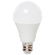 Lampadina LED E27 15W 1170Lm 2700ºK A60 40.