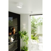Lampada Da Soffittoiera "Lobo"