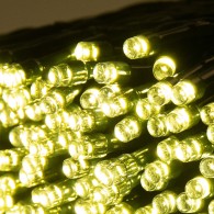 Ghirlanda LED da esterno 10M