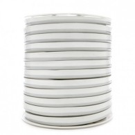 Tubo Striscia LED "Neon Flex" 4,5W 80LED/M 4,5W/M 220-240VAC