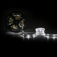 Striscia da 150 LED 36W 2.100Lm SMD5050 12VDC x5M 40.