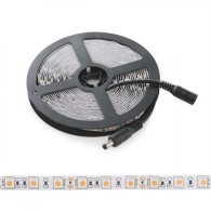 Striscia da 300 LED 60W 2.100Lm SMD5050 12VDC IP20 Rosa x5M