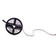 Striscia da 300 LED 60W 2.100Lm SMD5050 12VDC IP20 Rosa x5M