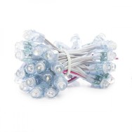 Pixel LED 0.1W 1.7Lm 4200ºK 12Mm 5V Epistar (stringa 50 unità)