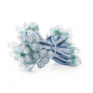 Pixel LED 0.1W 2Lm 12Mm 5V Epistar (stringa 50 unità) Blu