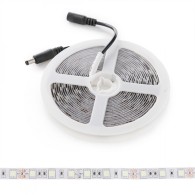 Striscia da 300 LED 60W 2.100Lm SMD5050 12VDC IP65 Blu ghiaccio