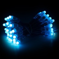 Pixel LED 0,3 W 6 Lm 12 Mm 5 V Epistar RGB (stringa 50 unità)