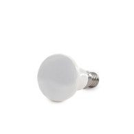 Lampadina LED E14 5W 328Lm 2700ºK R50 40.
