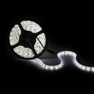 Striscia da 300 LED 40W 4.000Lm SMD2835 24VDC IP65 x5M 40.