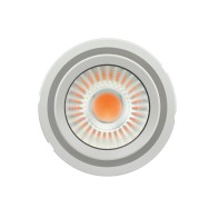 Modulo LED Osram/Ledvance 36.