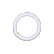 Ledvance/Osram Tubo Fluorescente Tradizionale T8 G10q 22W