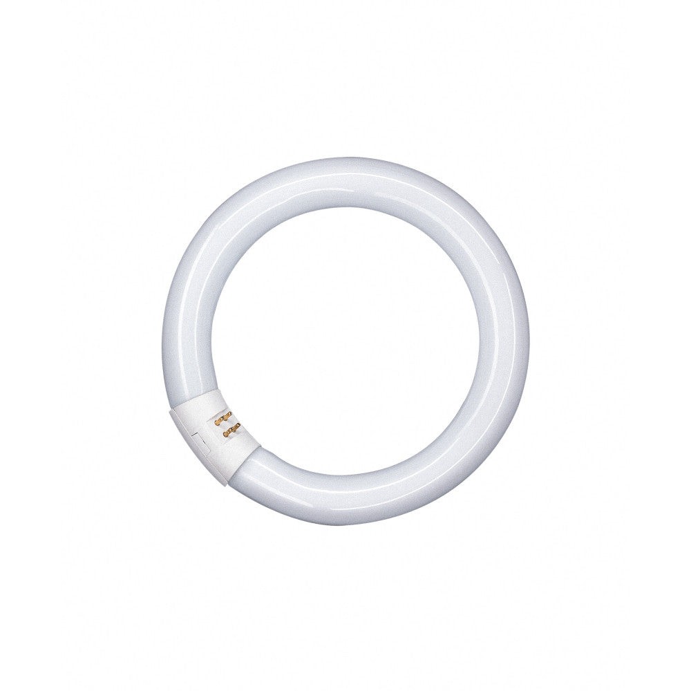 Ledvance/Osram Tubo Fluorescente Tradizionale T8 G10q 22W