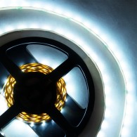 Striscia LED SMD 2835 5M 12W/M 1200Lm/M 4000ºK IP20 24VDC